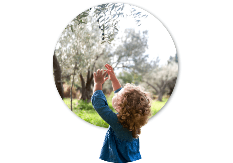regalare un ulivo significato (3) (1)