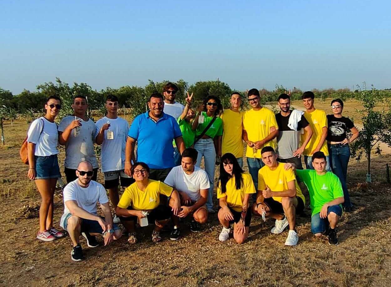 Team Olivami
