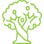 albero-della-vita