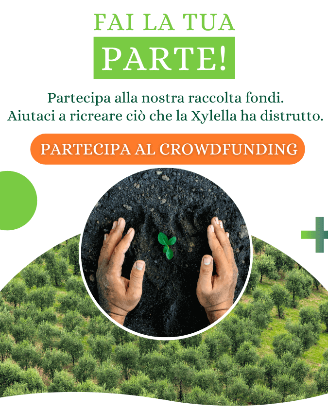 Crowdfunding mobile