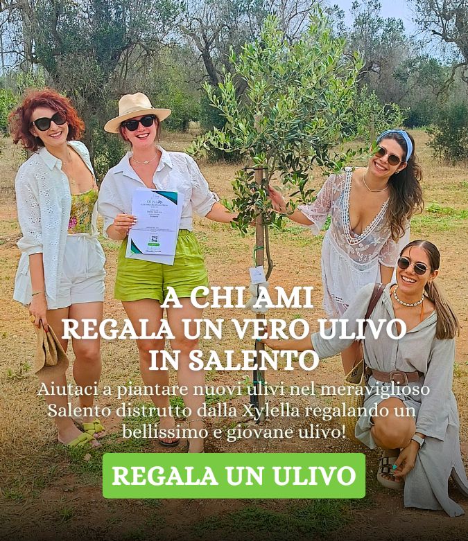 Banner regala un ulivo