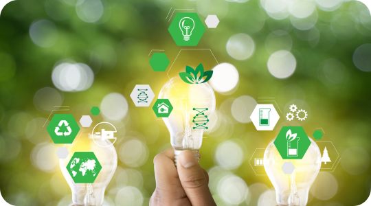 azienda attenta all'ambiente