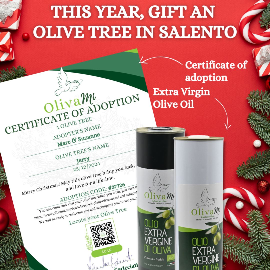 Olivami fb ads (3)