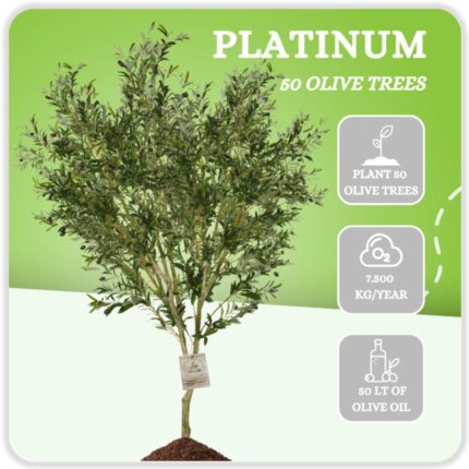 Platinum - 50 Olive Trees