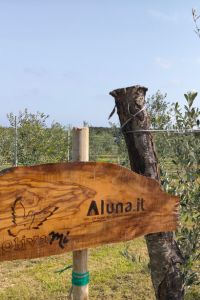 Aluna.it-3