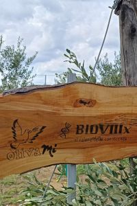 BIOVIIIx-2