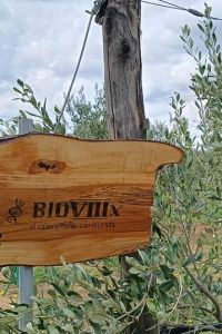 BIOVIIIx-3