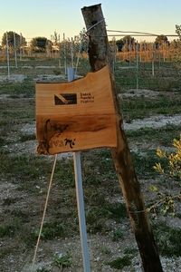 Banca-Popolare-Pugliese-02