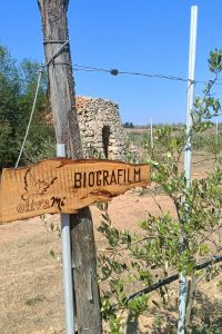 Biografilm-1-1