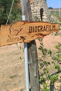 Biografilm-3-1