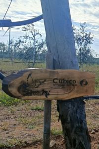 CUBICO-2