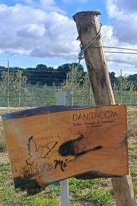Danitacom-01