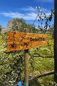 Deloitte giardino aziendale 5