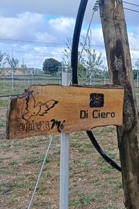 Di-Ciero-02