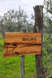 EURIS-02
