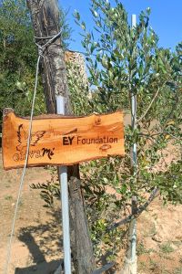 EY-Foundation-1