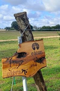 Eicon-02