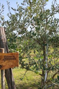 Farmacia-Bertoncello-1