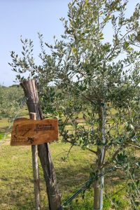 Farmacia-Bertoncello-2