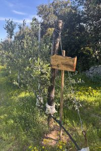 Giardino-HR-Capital-1