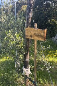 Giardino-HR-Capital-2
