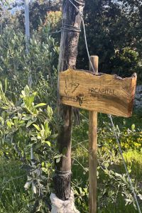 Giardino-HR-Capital-3