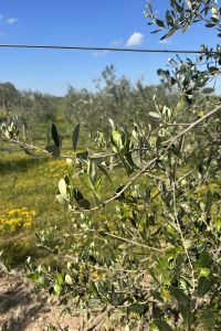 Giardino-Le-Ragazze-Viaggi-1