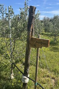 Giardino-Westcon-Comstor-2