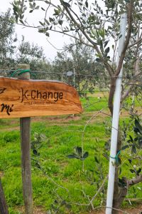 K-CHANGE-Giardino-aziendale-02