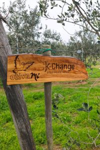 K-CHANGE-Giardino-aziendale-03