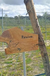 Revive-1