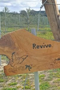 Revive-2