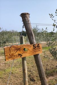 S4Energia-3