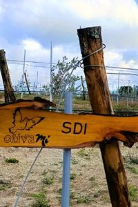 SDI-01