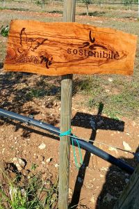 Sostenibile-02