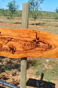 Sostenibile-03
