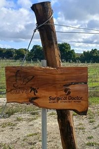 Surgical-Doctor-03