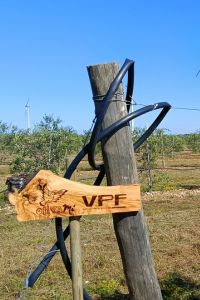 VPF-02-1