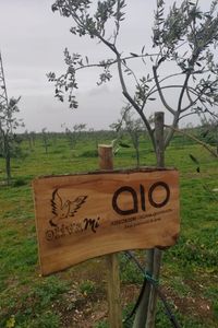 aio2