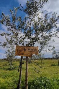 xr:d:DAFWEd6DXlM:42,j:2955891673,t:23041816