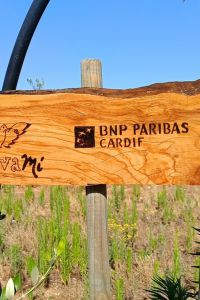 bnp-paribas-cardif-giardino-3