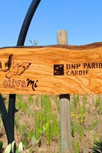 bnp-paribas-cardif-giardino
