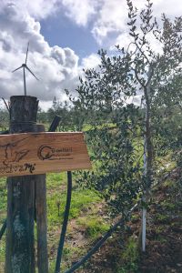 cantieri-professionali-02