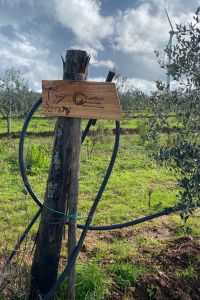 cantieri-professionali-03