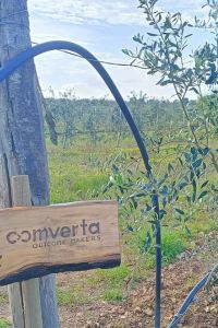 comverta-2