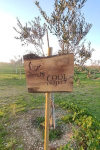 cool-project-1
