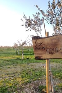 cool-project-2