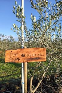 deolab-giardino-1