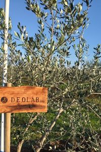 deolab-giardino-3