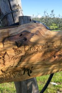 dragonfly-tours-giardino2